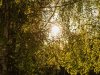 Niedziela_Zmartwychwstania-17